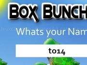 Play Box buncher