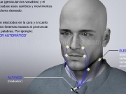 Play Traductor automatico