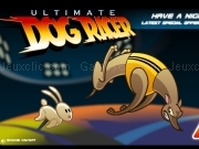 Play Ultimate dog racer