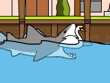 Play Miami shark