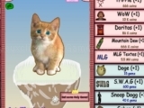 Play Cat Clicker MLG