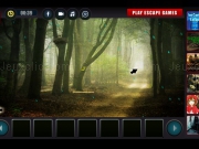 Play White Tiger Rescue Mystery