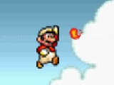 Play Super Mario flash