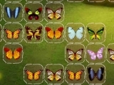 Play Butterfly Connect
