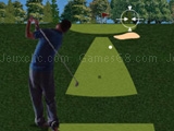 Play Flash golf 3D