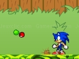 Play Sonic in Garden