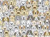 Play Find the pug