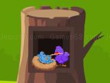 Play Pink bird recuse