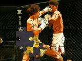 Play Mma fighters jigsaw